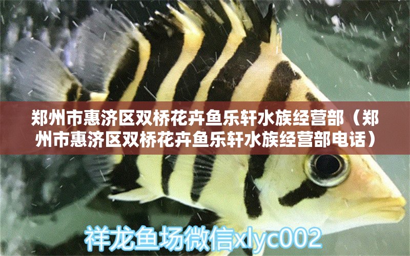 鄭州市惠濟(jì)區(qū)雙橋花卉魚樂軒水族經(jīng)營部（鄭州市惠濟(jì)區(qū)雙橋花卉魚樂軒水族經(jīng)營部電話）