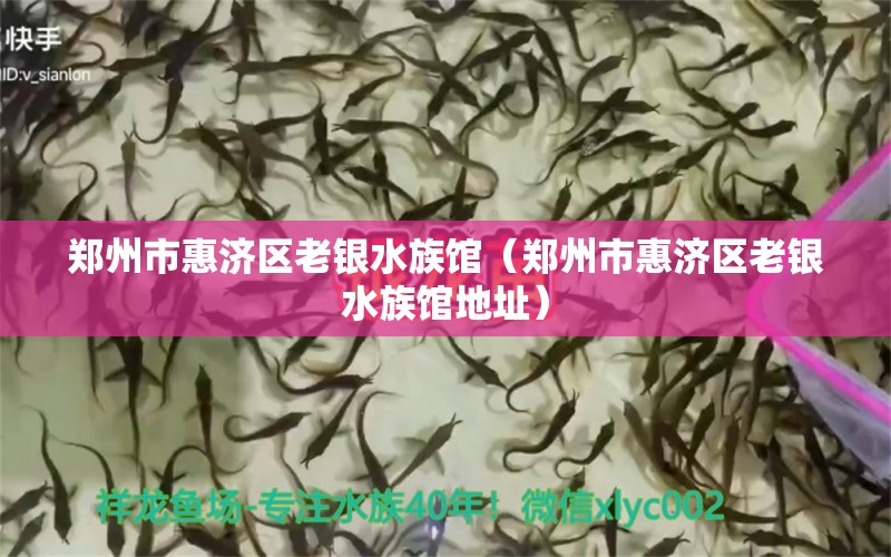 鄭州市惠濟區(qū)老銀水族館（鄭州市惠濟區(qū)老銀水族館地址） 全國水族館企業(yè)名錄