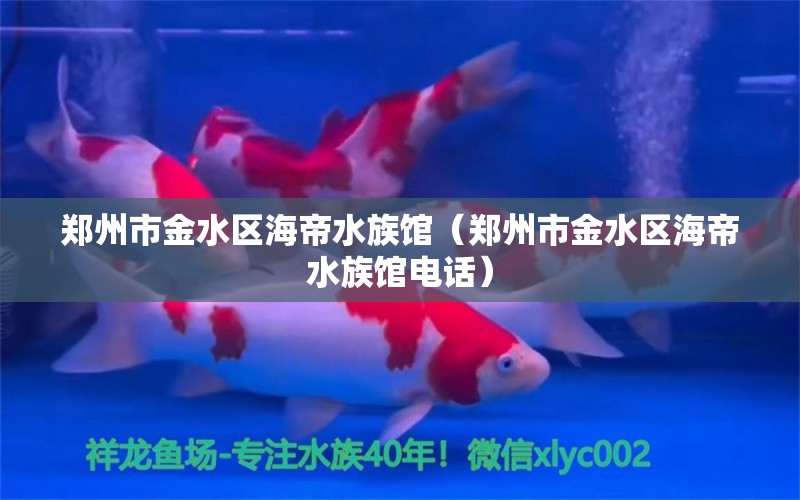 鄭州市金水區(qū)海帝水族館（鄭州市金水區(qū)海帝水族館電話）