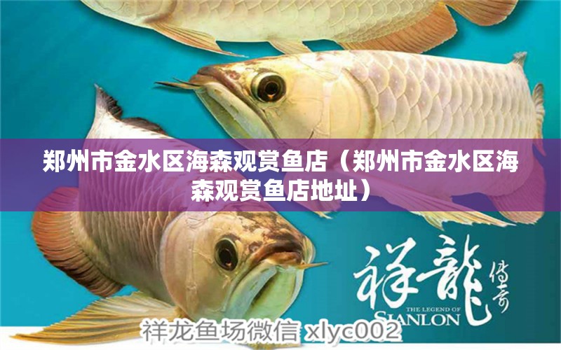 鄭州市金水區(qū)海森觀賞魚店（鄭州市金水區(qū)海森觀賞魚店地址）