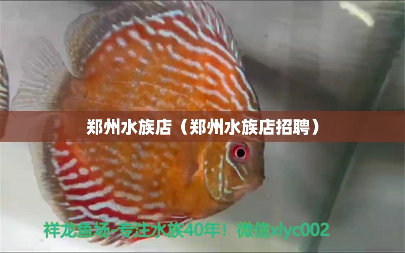 鄭州水族店（鄭州水族店招聘）