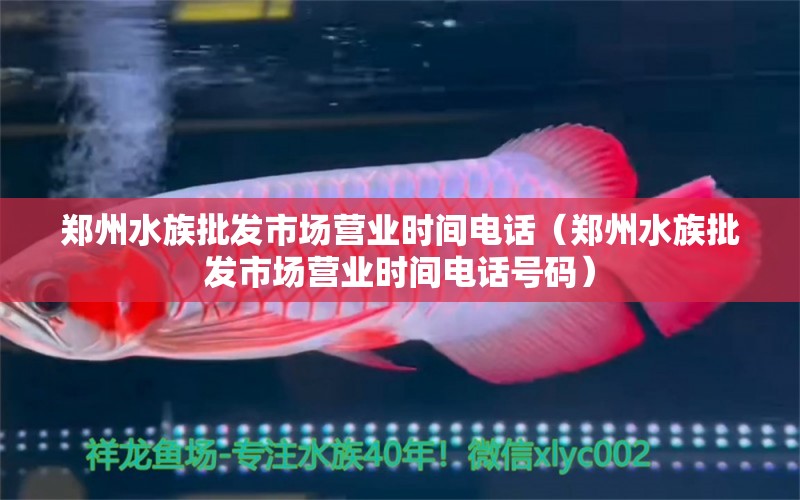 鄭州水族批發(fā)市場(chǎng)營業(yè)時(shí)間電話（鄭州水族批發(fā)市場(chǎng)營業(yè)時(shí)間電話號(hào)碼） 觀賞魚水族批發(fā)市場(chǎng)