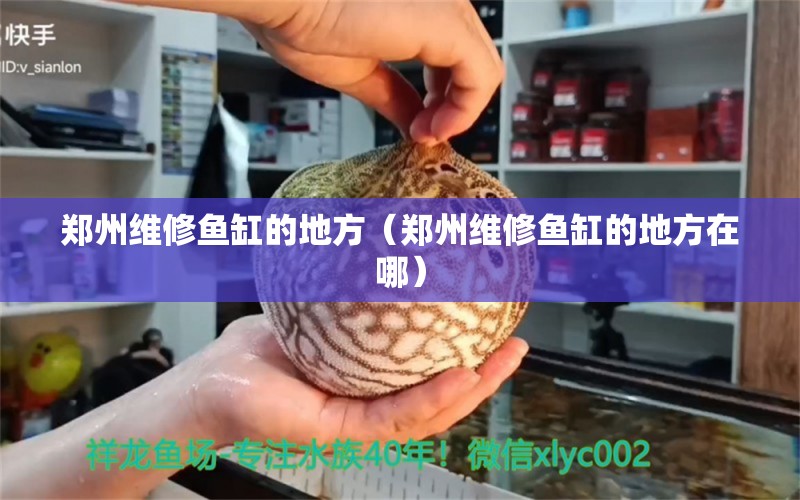 鄭州維修魚缸的地方（鄭州維修魚缸的地方在哪）