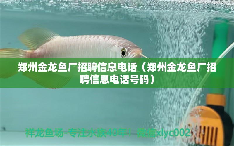 鄭州金龍魚廠招聘信息電話（鄭州金龍魚廠招聘信息電話號碼）