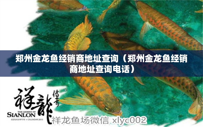 鄭州金龍魚經(jīng)銷商地址查詢（鄭州金龍魚經(jīng)銷商地址查詢電話） 白寫錦鯉魚