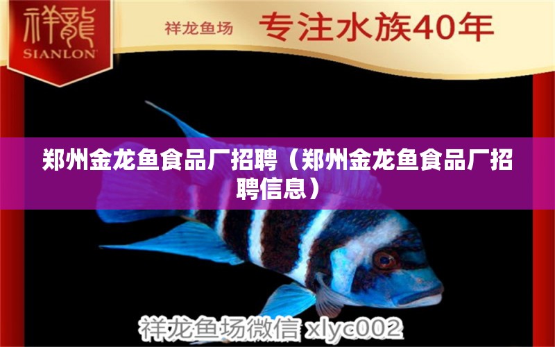 鄭州金龍魚食品廠招聘（鄭州金龍魚食品廠招聘信息）