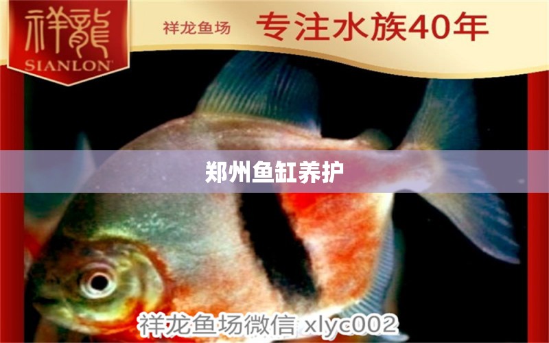 鄭州魚缸養(yǎng)護