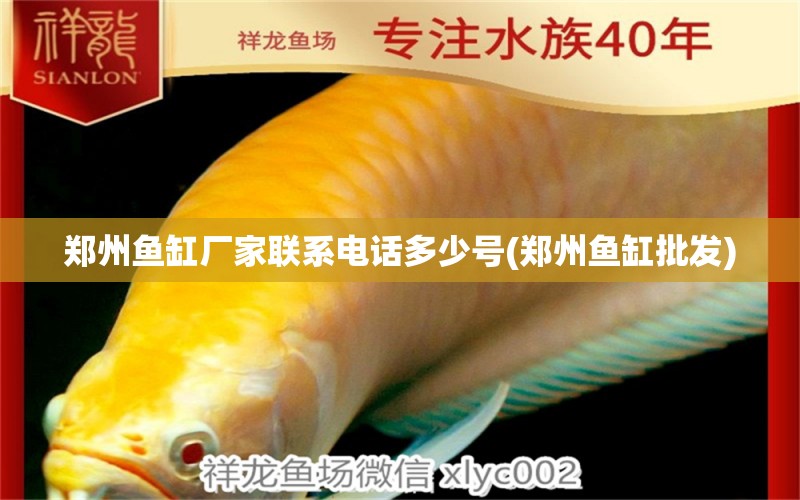 鄭州魚(yú)缸廠家聯(lián)系電話多少號(hào)(鄭州魚(yú)缸批發(fā)) 生態(tài)瓶/創(chuàng)意缸/桌面微景缸