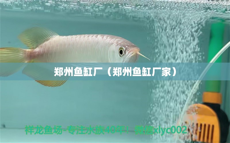 鄭州魚缸廠（鄭州魚缸廠家） 其他品牌魚缸