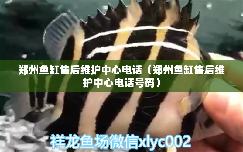 鄭州魚缸售后維護中心電話（鄭州魚缸售后維護中心電話號碼）