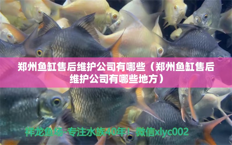 鄭州魚缸售后維護(hù)公司有哪些（鄭州魚缸售后維護(hù)公司有哪些地方） 其他品牌魚缸