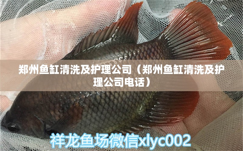 鄭州魚缸清洗及護(hù)理公司（鄭州魚缸清洗及護(hù)理公司電話）