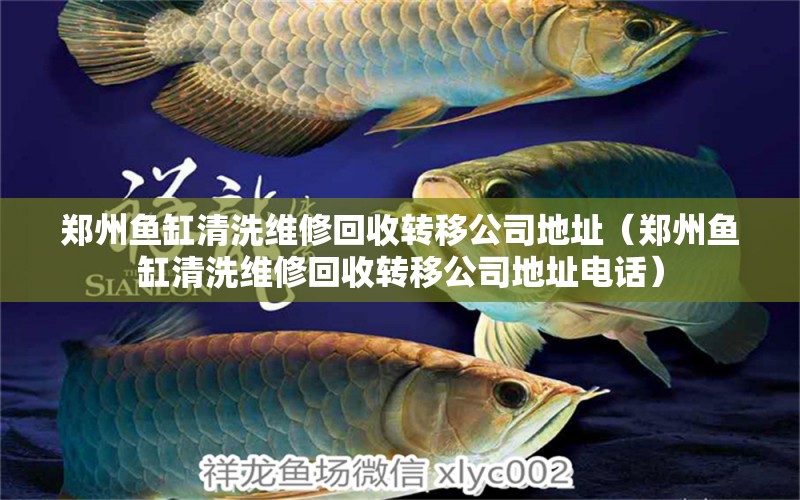 鄭州魚缸清洗維修回收轉(zhuǎn)移公司地址（鄭州魚缸清洗維修回收轉(zhuǎn)移公司地址電話）