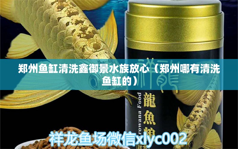 鄭州魚缸清洗鑫御景水族放心（鄭州哪有清洗魚缸的） 量子養(yǎng)魚技術(shù)