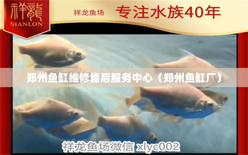 鄭州魚缸維修售后服務(wù)中心（鄭州魚缸廠）