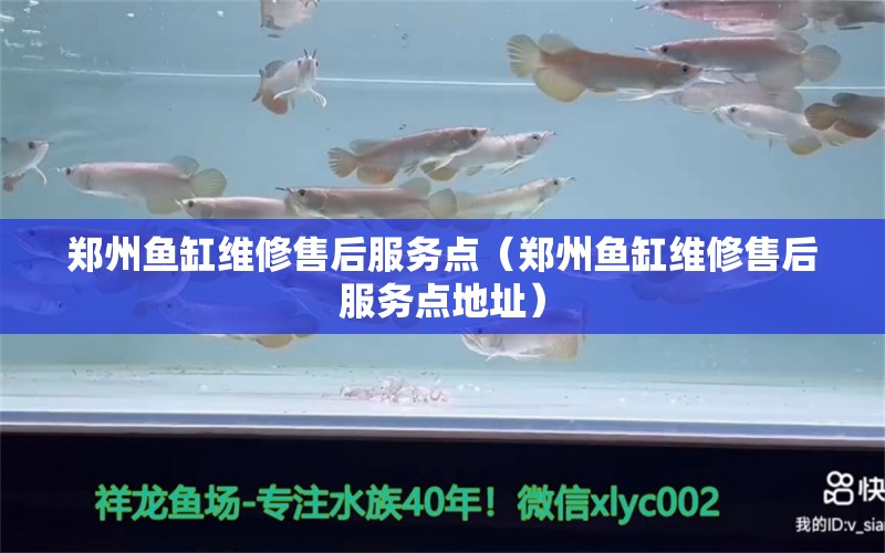 鄭州魚缸維修售后服務點（鄭州魚缸維修售后服務點地址）