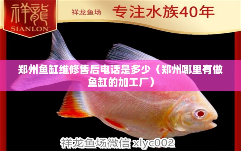 鄭州魚缸維修售后電話是多少（鄭州哪里有做魚缸的加工廠）