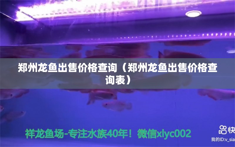 鄭州龍魚出售價格查詢（鄭州龍魚出售價格查詢表）