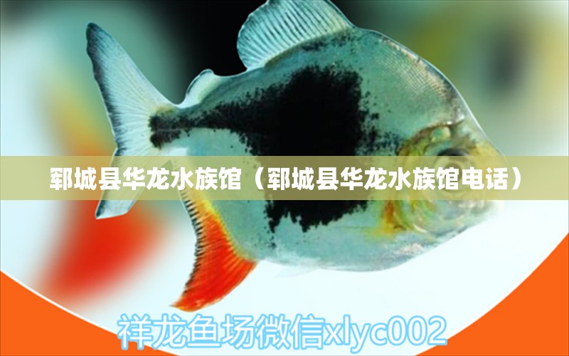 鄆城縣華龍水族館（鄆城縣華龍水族館電話） 全國水族館企業(yè)名錄