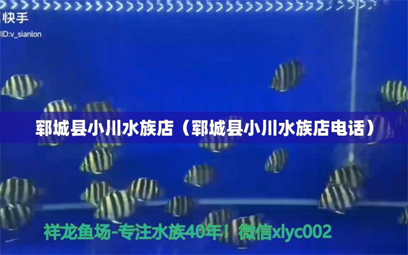 鄆城縣小川水族店（鄆城縣小川水族店電話）