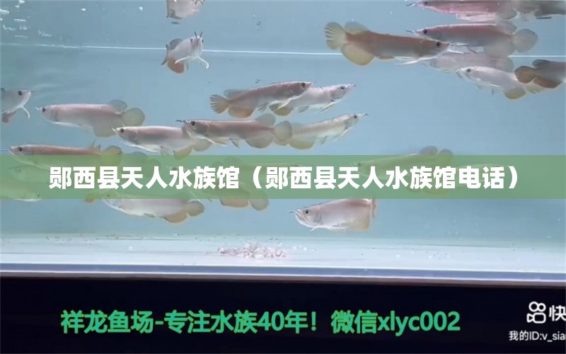 鄖西縣天人水族館（鄖西縣天人水族館電話） 全國水族館企業(yè)名錄