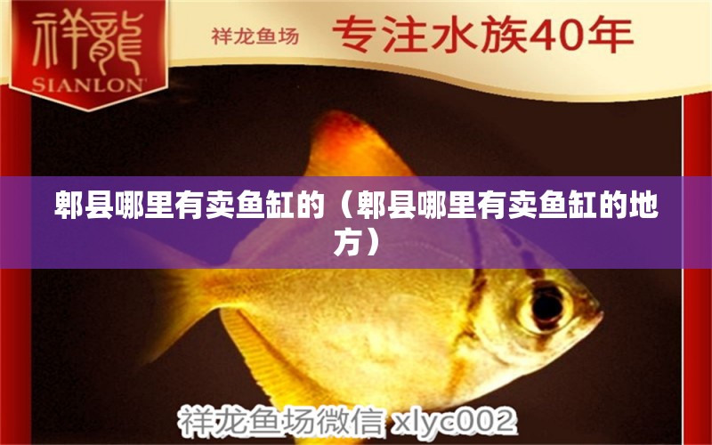 郫縣哪里有賣魚缸的（郫縣哪里有賣魚缸的地方）