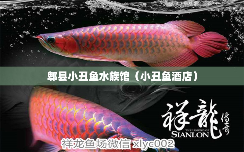 郫縣小丑魚水族館（小丑魚酒店） 海水魚