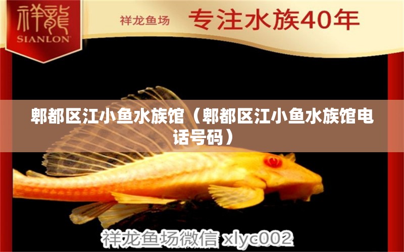 郫都區(qū)江小魚水族館（郫都區(qū)江小魚水族館電話號碼） 全國水族館企業(yè)名錄