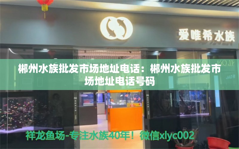 郴州水族批發(fā)市場(chǎng)地址電話(huà)：郴州水族批發(fā)市場(chǎng)地址電話(huà)號(hào)碼