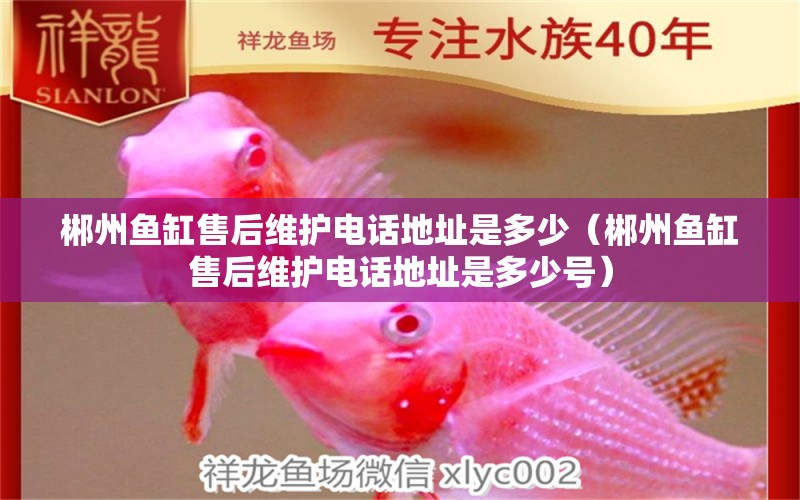 郴州魚缸售后維護(hù)電話地址是多少（郴州魚缸售后維護(hù)電話地址是多少號(hào)） 其他品牌魚缸