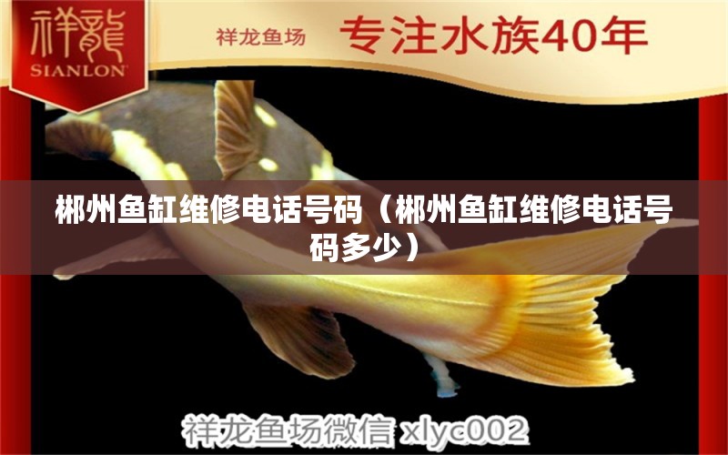 郴州魚(yú)缸維修電話號(hào)碼（郴州魚(yú)缸維修電話號(hào)碼多少）