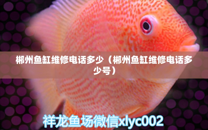 郴州魚缸維修電話多少（郴州魚缸維修電話多少號(hào)）