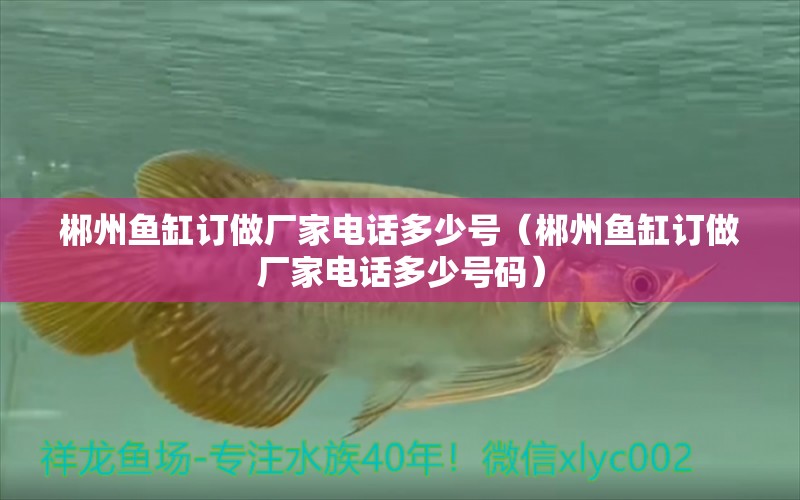 郴州魚缸訂做廠家電話多少號(hào)（郴州魚缸訂做廠家電話多少號(hào)碼）