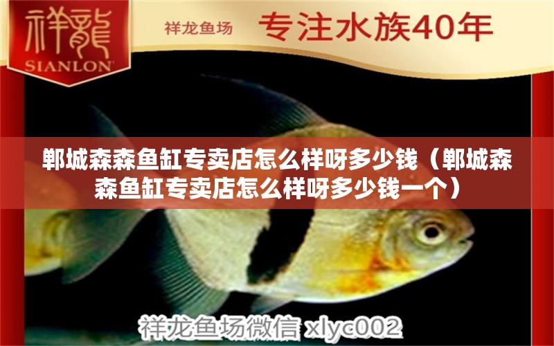 鄲城森森魚缸專賣店怎么樣呀多少錢（鄲城森森魚缸專賣店怎么樣呀多少錢一個）