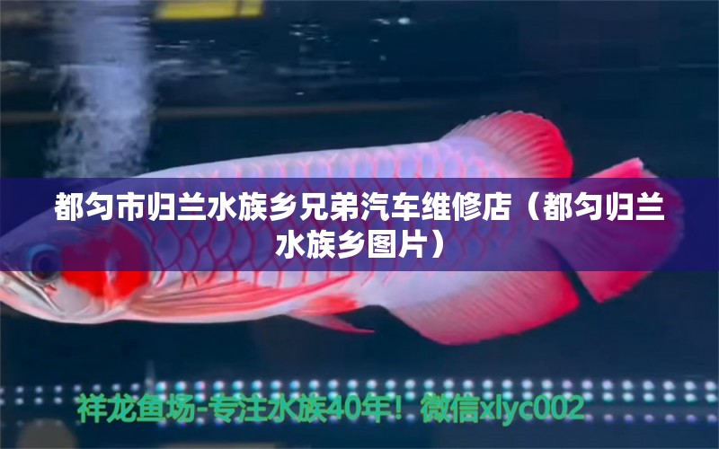 都勻市歸蘭水族鄉(xiāng)兄弟汽車(chē)維修店（都勻歸蘭水族鄉(xiāng)圖片）