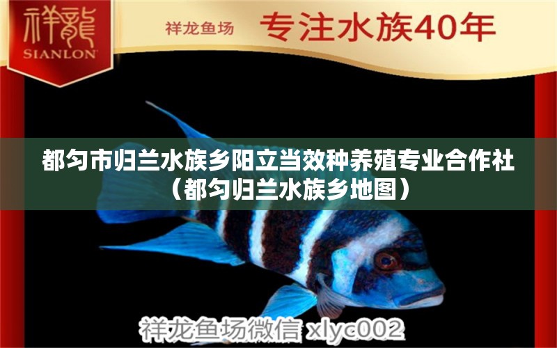 都勻市歸蘭水族鄉(xiāng)陽立當效種養(yǎng)殖專業(yè)合作社（都勻歸蘭水族鄉(xiāng)地圖）