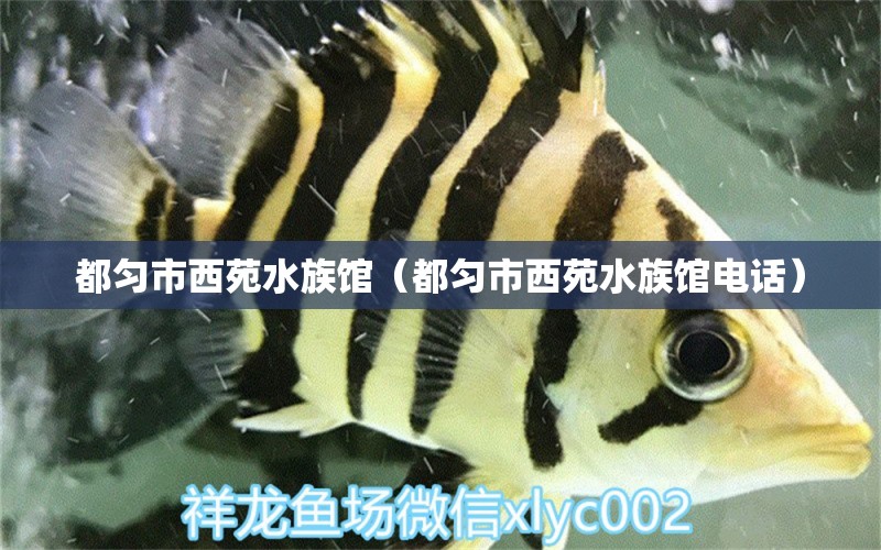 都勻市西苑水族館（都勻市西苑水族館電話）