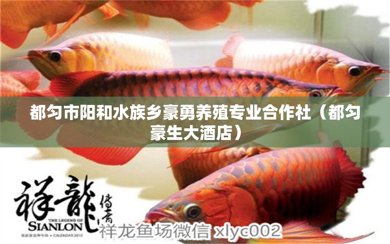 都勻市陽和水族鄉(xiāng)豪勇養(yǎng)殖專業(yè)合作社（都勻豪生大酒店）