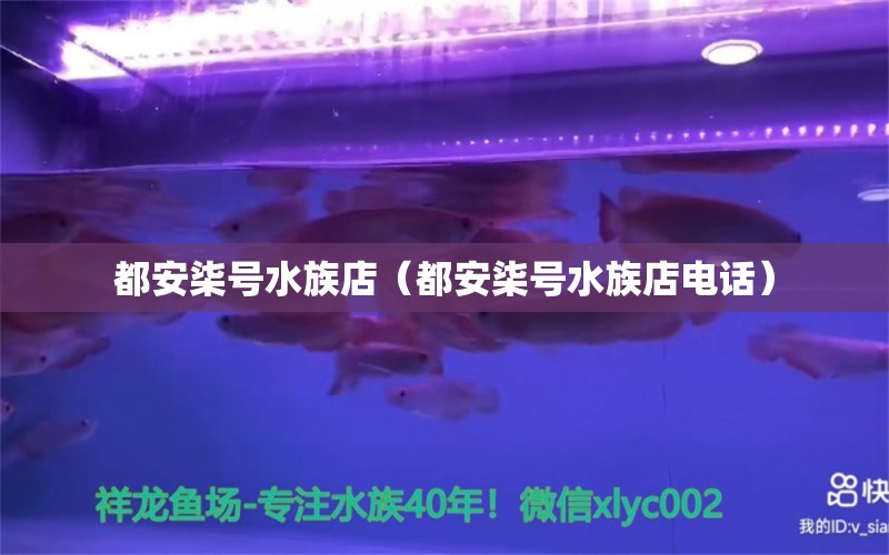 都安柒號(hào)水族店（都安柒號(hào)水族店電話）