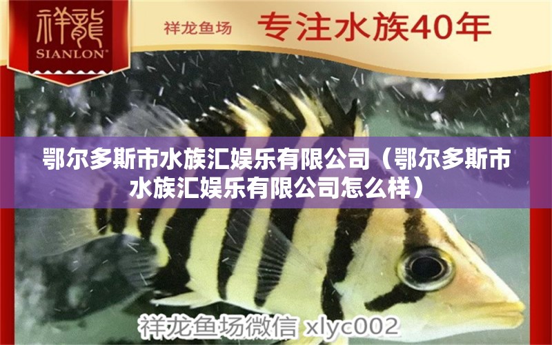 鄂爾多斯市水族匯娛樂有限公司（鄂爾多斯市水族匯娛樂有限公司怎么樣）