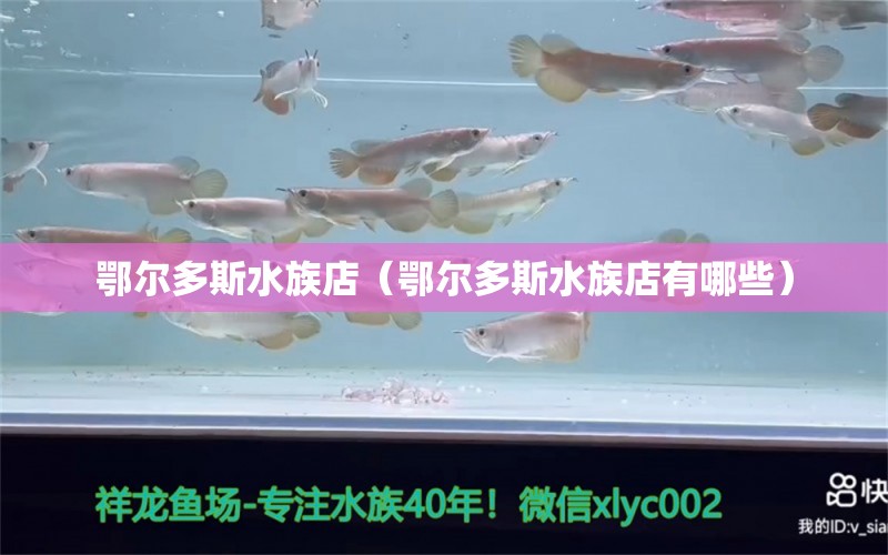 鄂爾多斯水族店（鄂爾多斯水族店有哪些） 觀賞魚市場