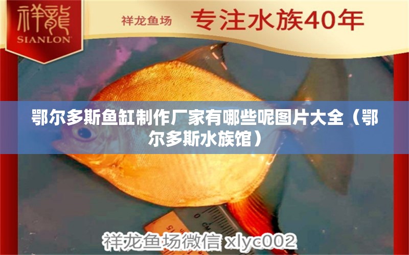 鄂爾多斯魚缸制作廠家有哪些呢圖片大全（鄂爾多斯水族館） 虎斑恐龍魚