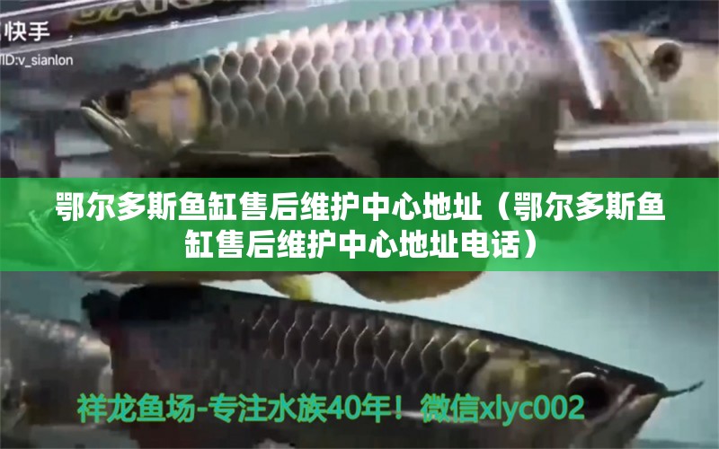 鄂爾多斯魚缸售后維護(hù)中心地址（鄂爾多斯魚缸售后維護(hù)中心地址電話）