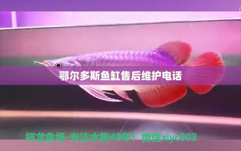 鄂爾多斯魚缸售后維護(hù)電話