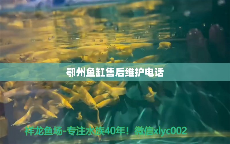 鄂州魚缸售后維護(hù)電話 其他品牌魚缸