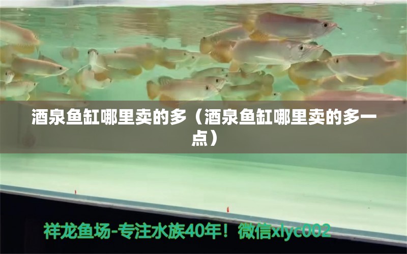 酒泉魚缸哪里賣的多（酒泉魚缸哪里賣的多一點(diǎn)）