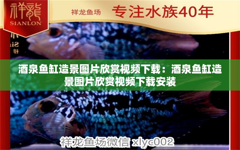 酒泉魚缸造景圖片欣賞視頻下載：酒泉魚缸造景圖片欣賞視頻下載安裝