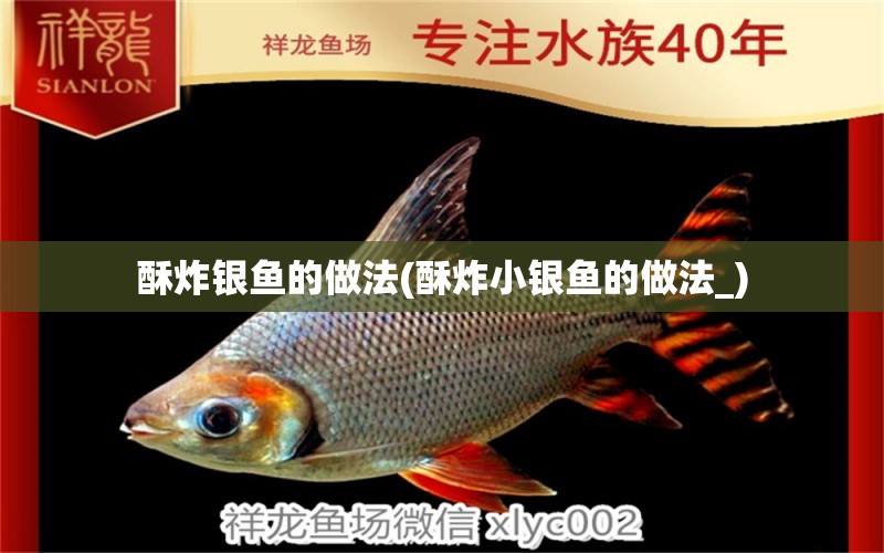 酥炸銀魚的做法(酥炸小銀魚的做法_) 祥龍傳奇品牌魚缸