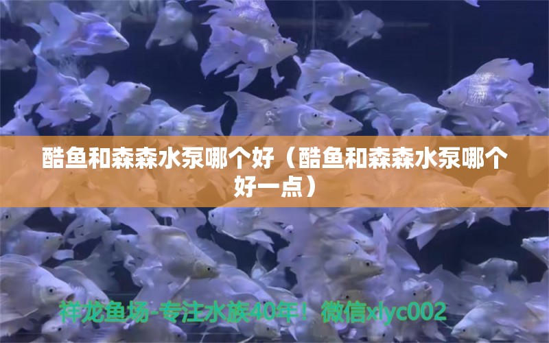 酷魚和森森水泵哪個(gè)好（酷魚和森森水泵哪個(gè)好一點(diǎn)）