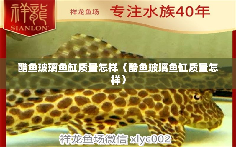 酷魚(yú)玻璃魚(yú)缸質(zhì)量怎樣（酷魚(yú)玻璃魚(yú)缸質(zhì)量怎樣）